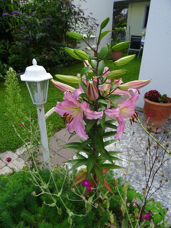 Ferienwohnung Traudl Singer Innsbruck Eksteriør billede